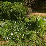Buzios Da Rocha Portimao