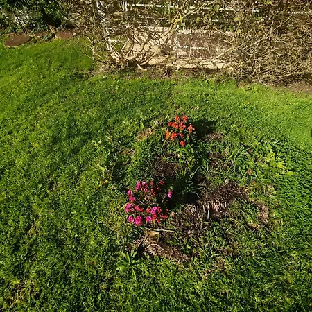 Buzios Da Rocha Appartement *