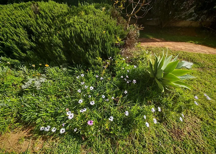 Buzios Da Rocha Портиман