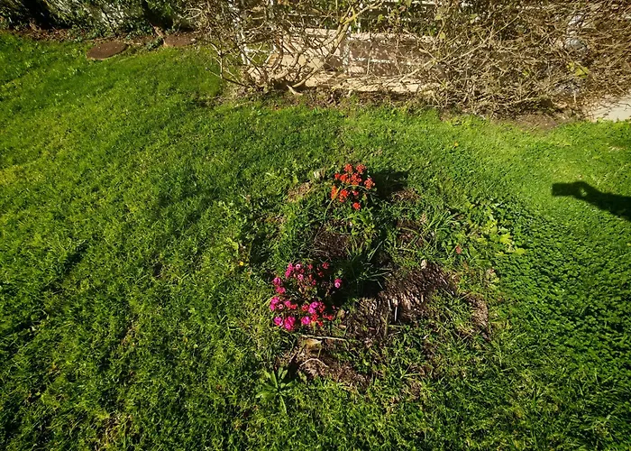 Buzios Da Rocha Lägenhet *